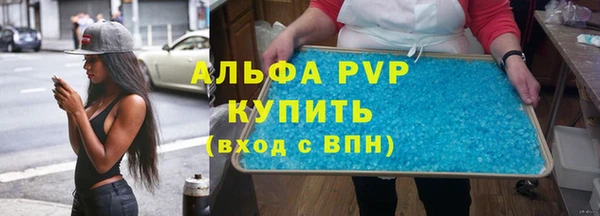 СК Алексин