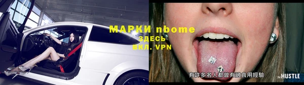 СК Алексин