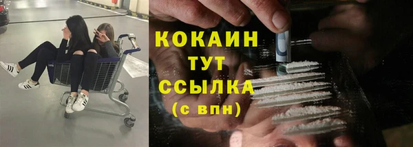 дживик Алексеевка