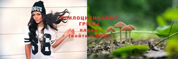 дживик Алексеевка