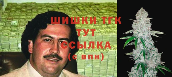 шишки Мегион