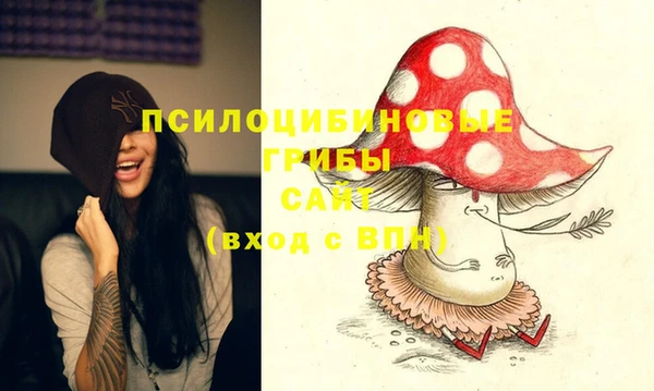 круглые Алзамай