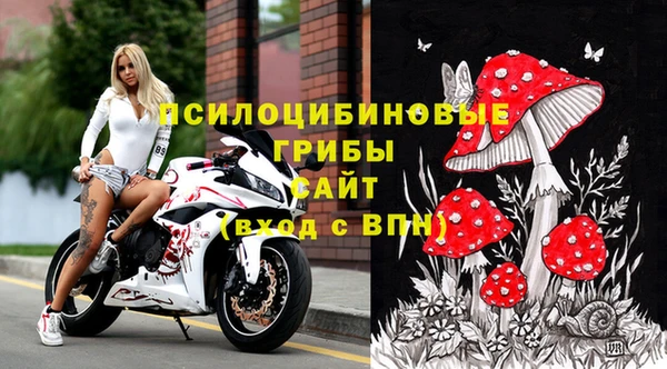 дживик Алексеевка