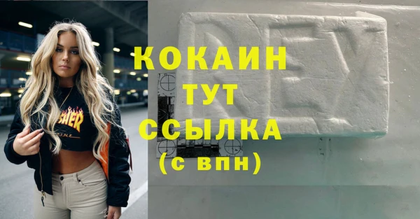 СК Алексин