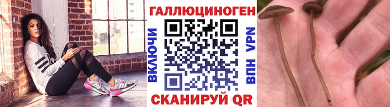 даркнет сайт  Одинцово  Псилоцибиновые грибы GOLDEN TEACHER 